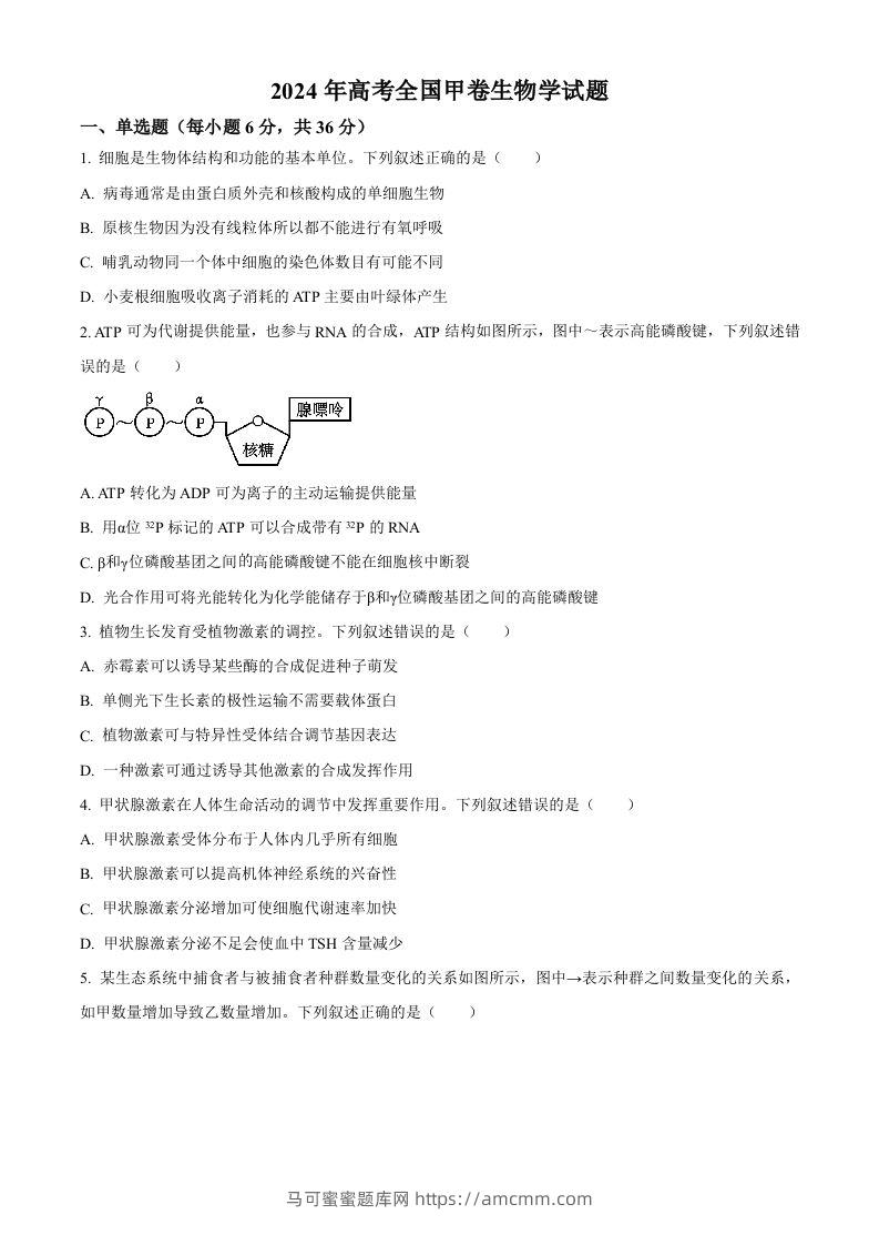 2024年高考生物试卷（全国甲卷）（空白卷）-马可蜜蜜题库网