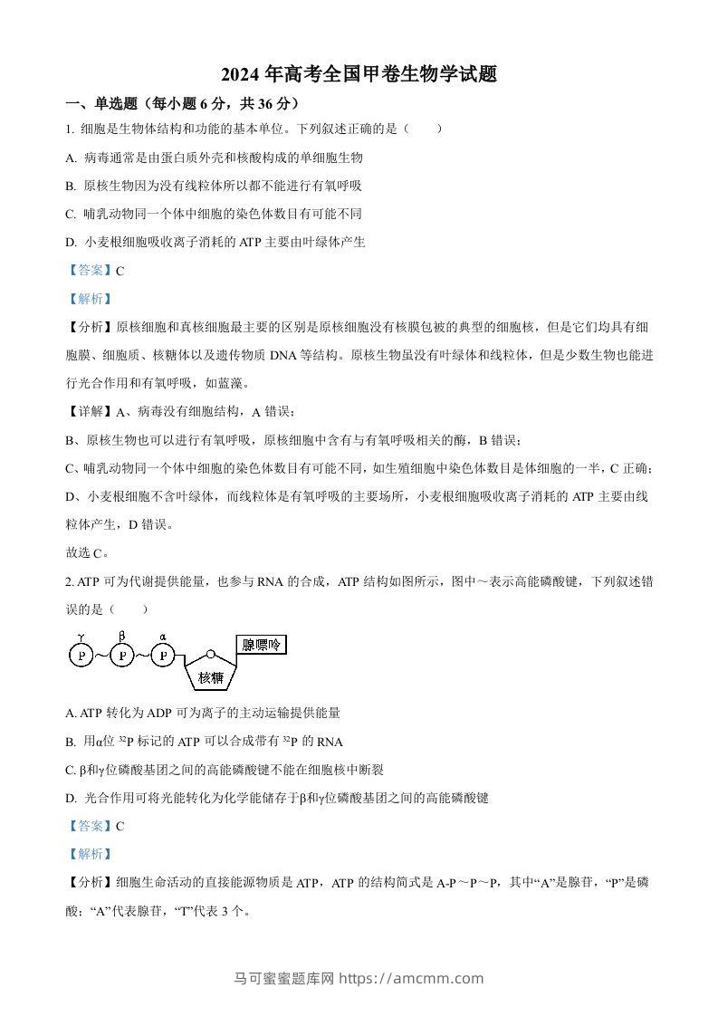 2024年高考生物试卷（全国甲卷）（含答案）-马可蜜蜜题库网