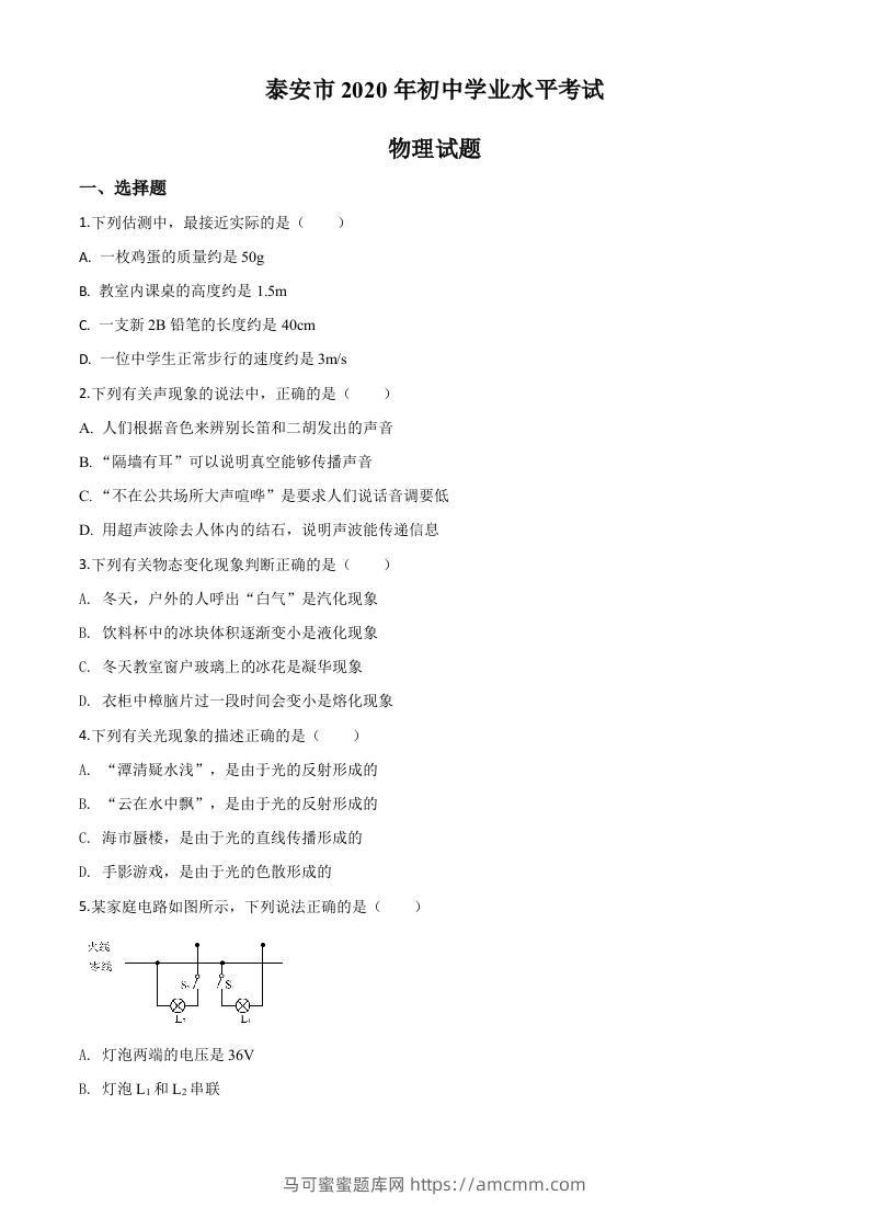 2020年山东省泰安市中考物理试题（空白卷）-马可蜜蜜题库网