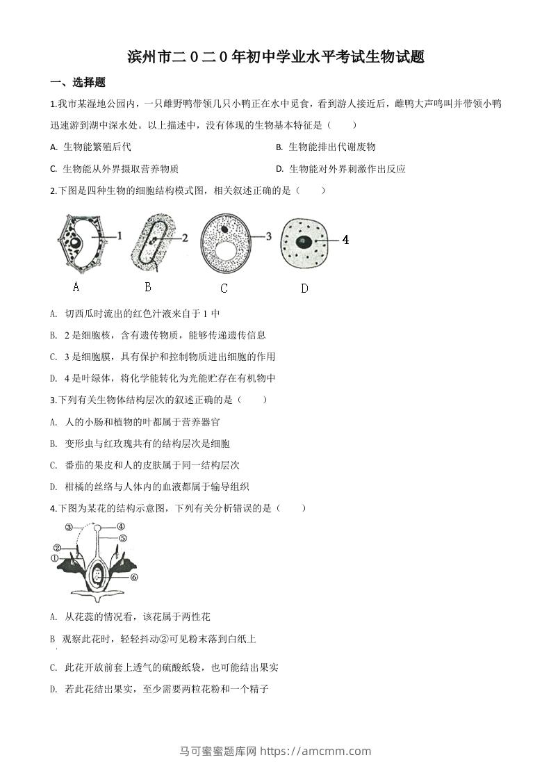 山东省滨州市2020年中考生物试题（空白卷）-马可蜜蜜题库网